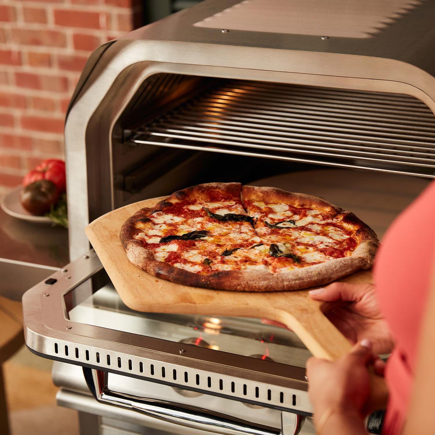 Blaze 26-Inch Built-In Propane & Natural Outdoor Oven W/ Rotisserie
