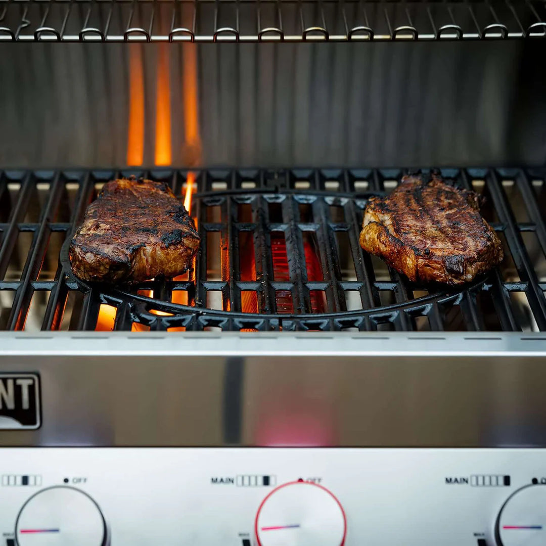 Monument Grills - Denali 605Pro | Stainless Smart Propane Gas Grill