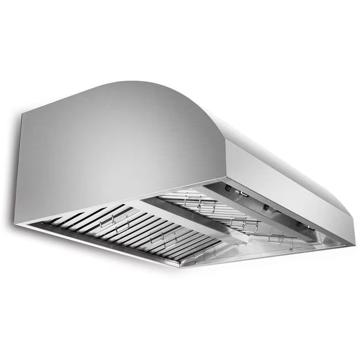 Blaze 42-Inch Stainless Steel Outdoor Vent Hood (2000 CFM)