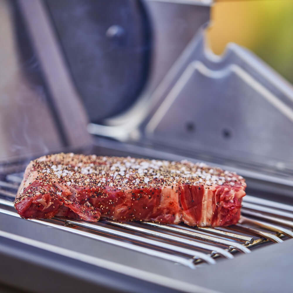 Monument Grills - Denali 605Pro | Stainless Smart Propane Gas Grill