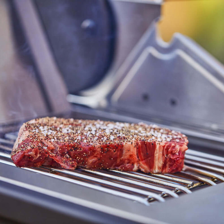 Monument Grills - Denali 605Pro | Stainless Smart Propane Gas Grill